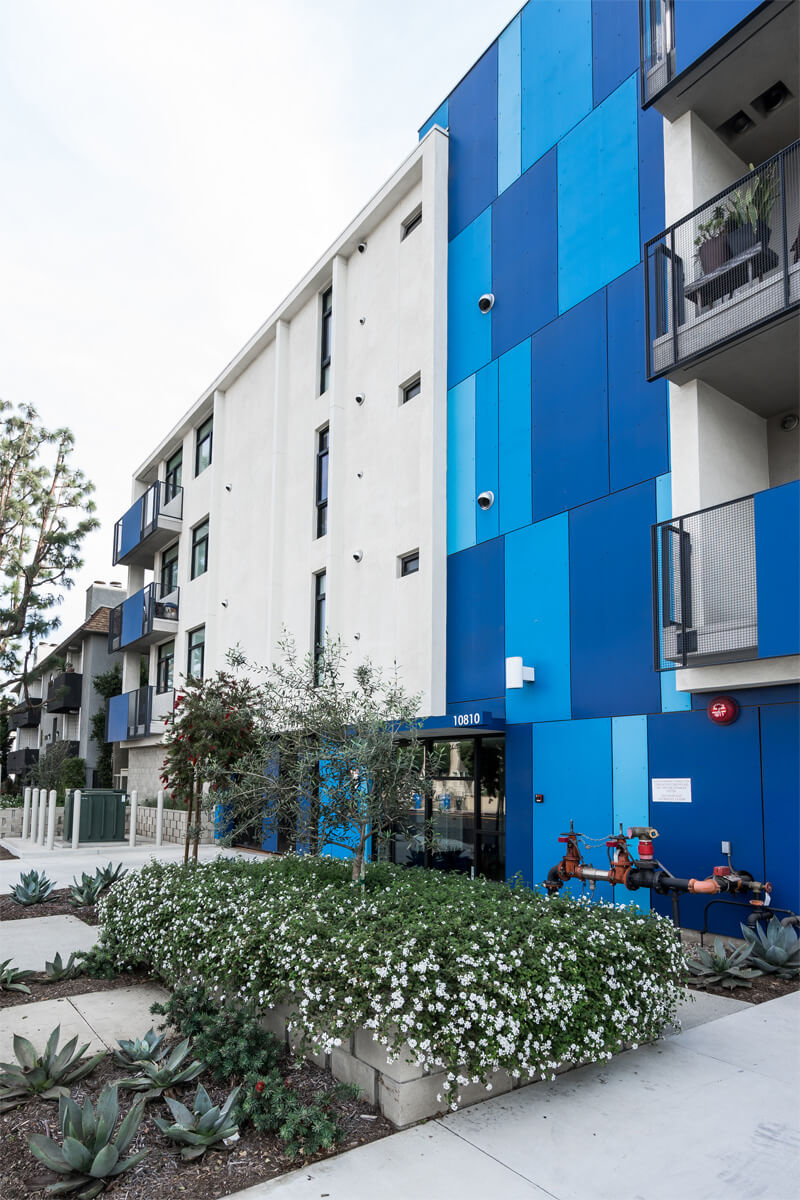 10810_Palms-2 10810_Palms-2