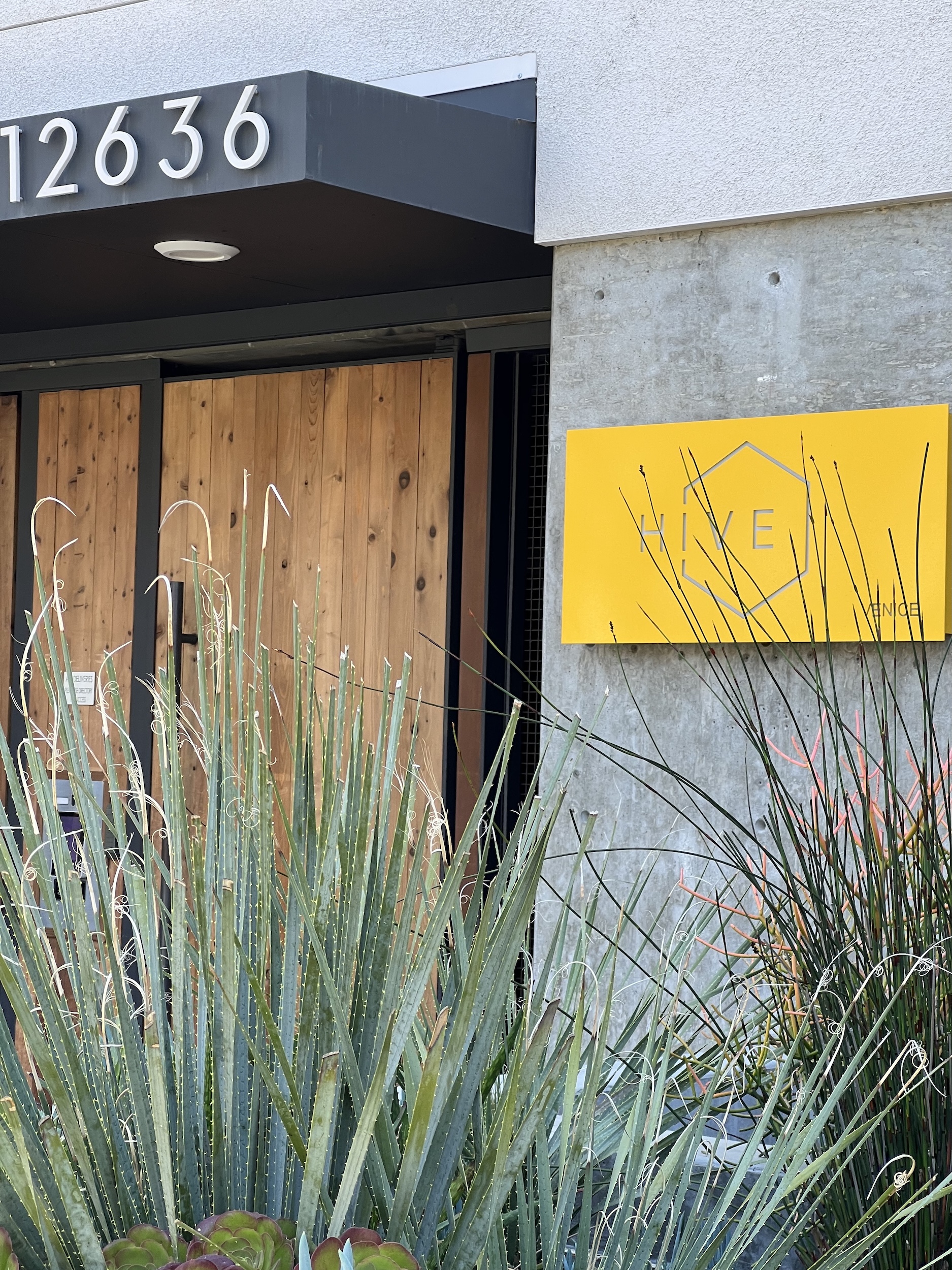 HIVE Venice Sign 12636_Matteson_3